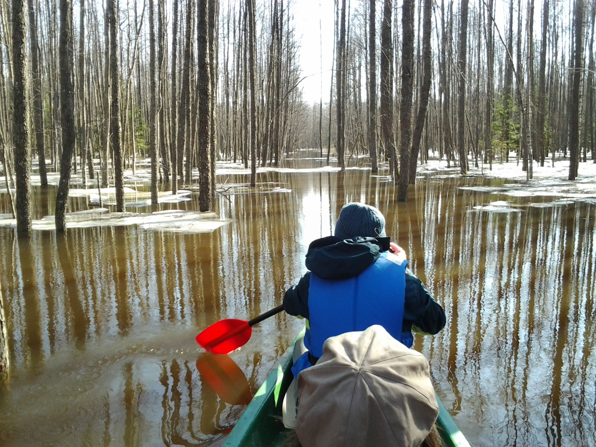 Kanuumatk Soomaa rahvuspargi üleujutusalal. Aivar Ruukel