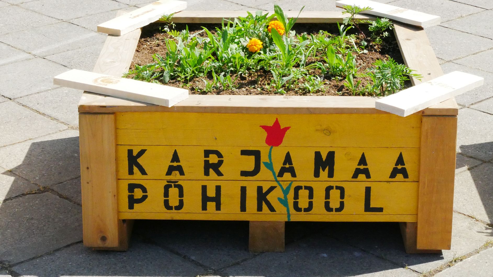 Koolides valmistatud lillekastid laste istutatud taimedega kaunistavad Tallinna linnahalli esist ala