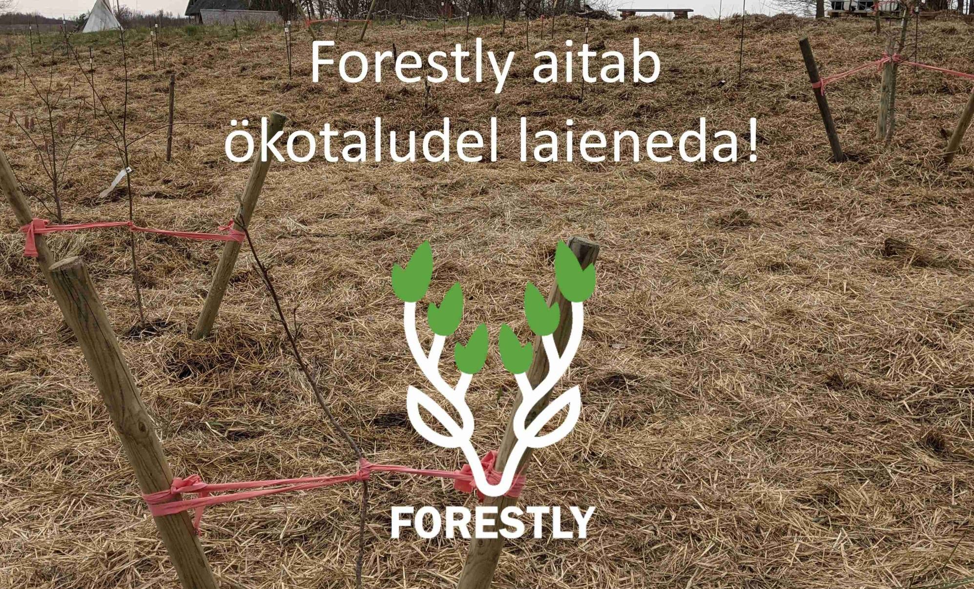 Forestly aitab ökotaludel ja püsimetsamajandajatel laieneda