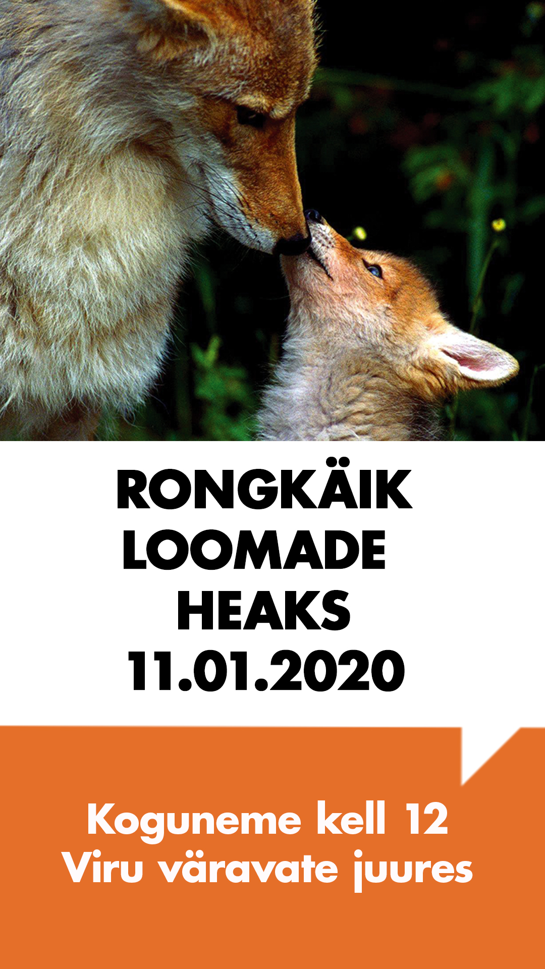 Rongkäik loomade heaks 11. jaanuaril