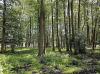 Ukraina ühines Euroopa koolinoorte metsandusvõistlusega
