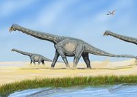 sauropodid