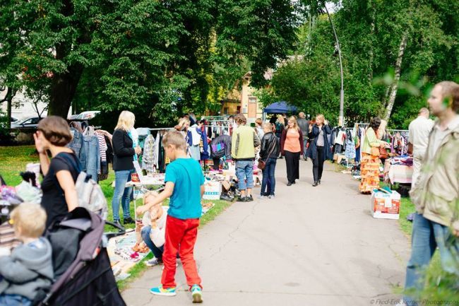 Kassisaba kapipuhastuspäev