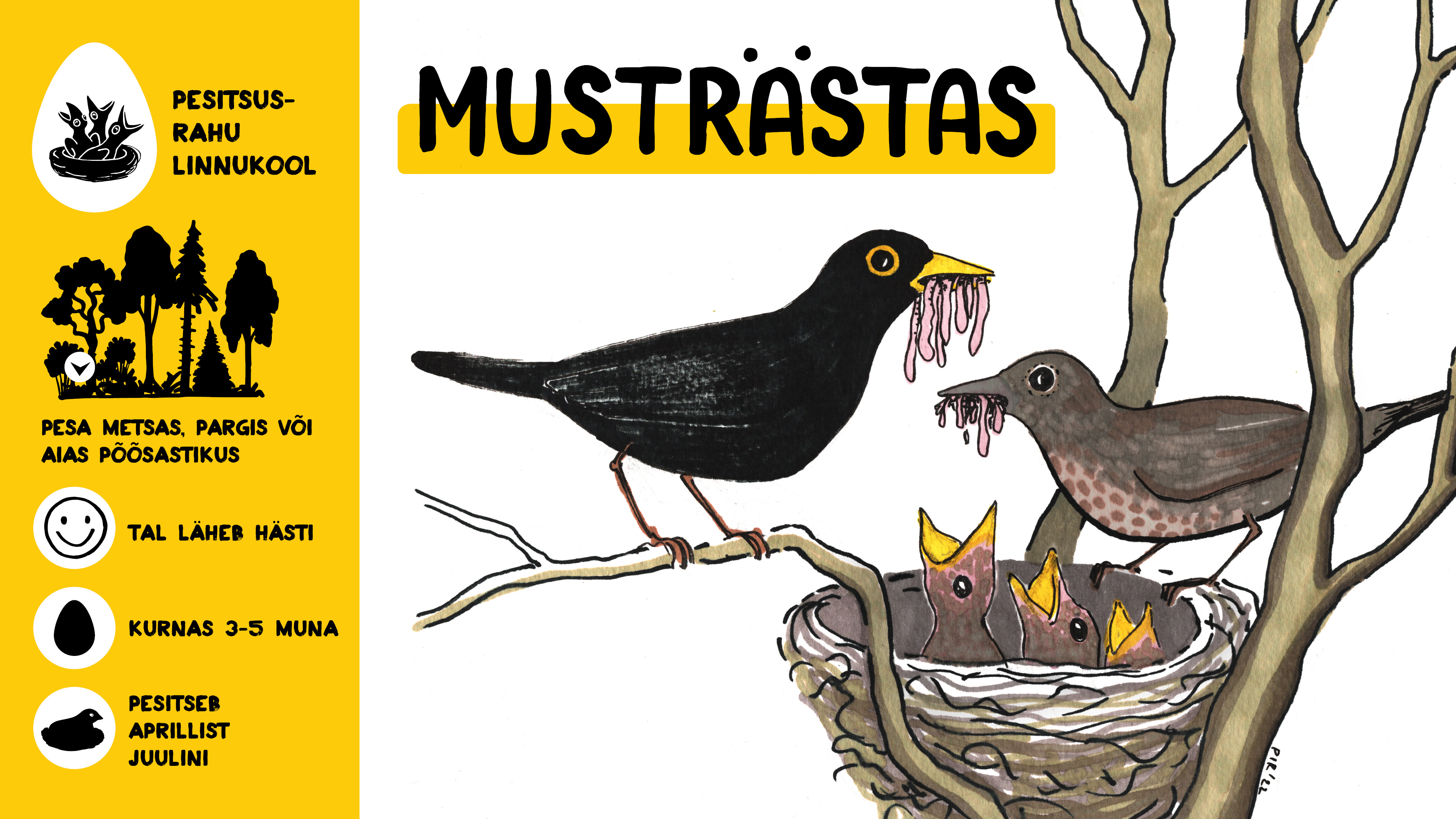 Musträstas