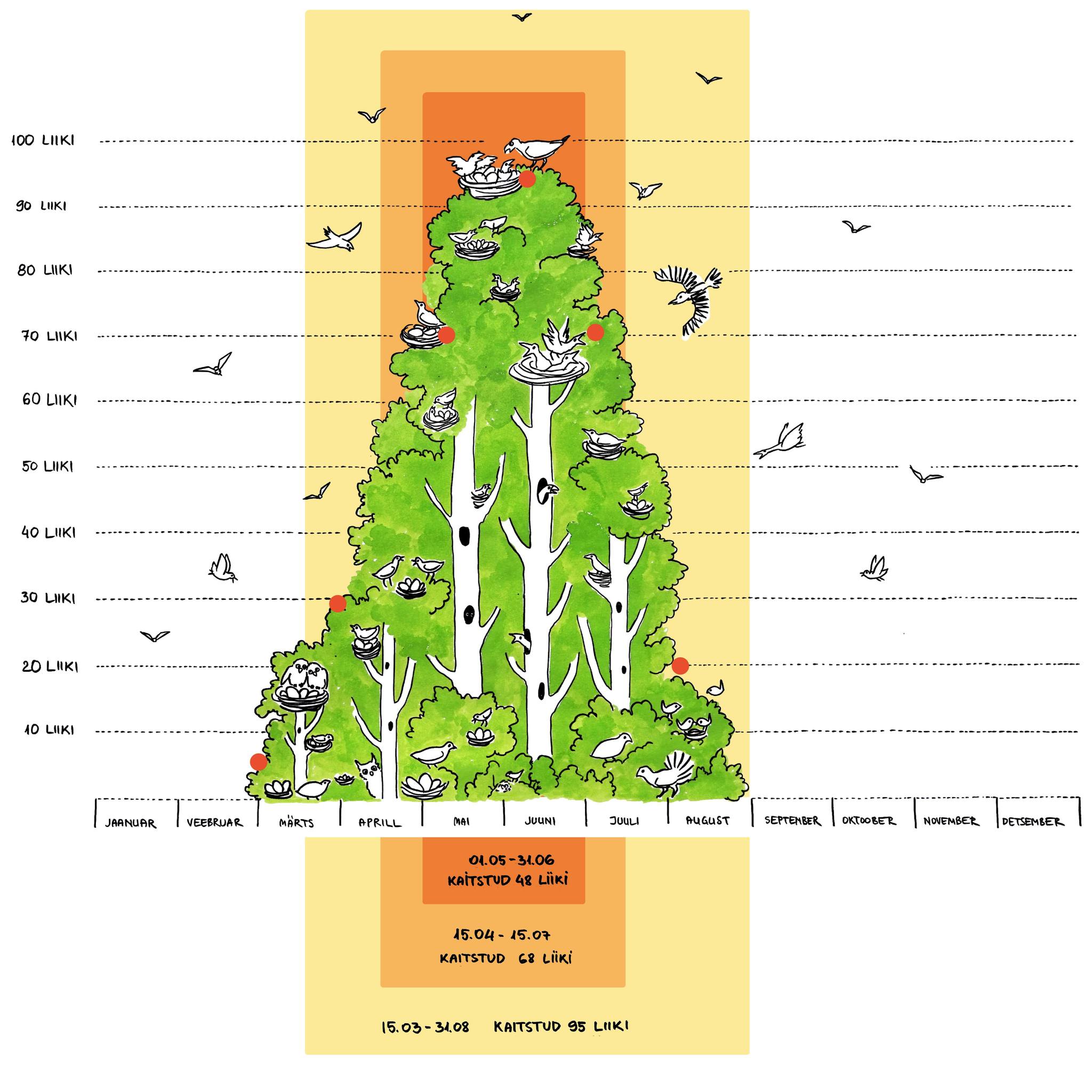 Euroopa Kohtu otsus peab viima seadusemuudatuseni, mis lõpetaks kevadsuvise linnupoegade raietega tapmise