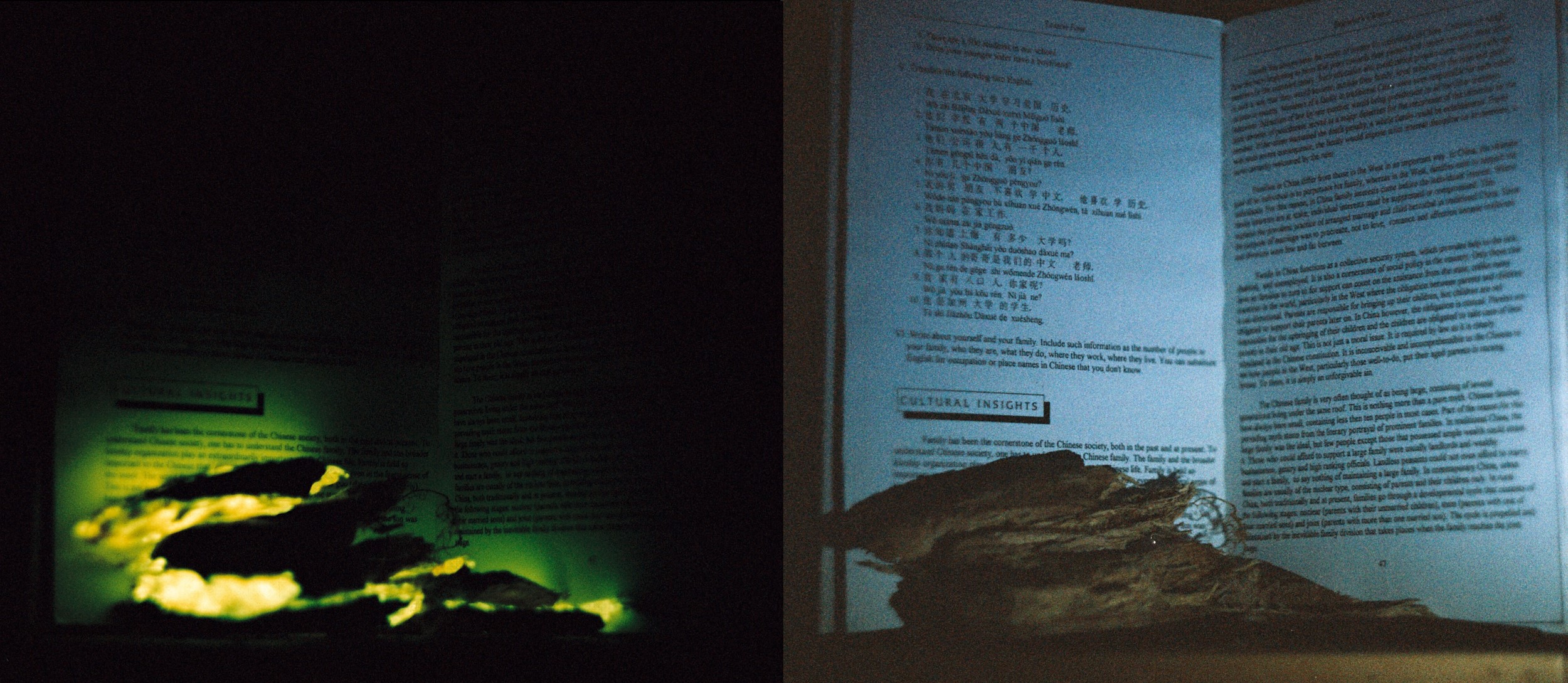 Fotod: Raamatu ette asetatud helendavad kõdupuidu tükid - nende valgusest jääb lugemiseks ikkagi natuke väheks, kuid mõne suurema sõna loeb ehk ära. Valgustatuna taskulambiga (paremal) ja pimedas (vasakul) - säriaeg ~3h.