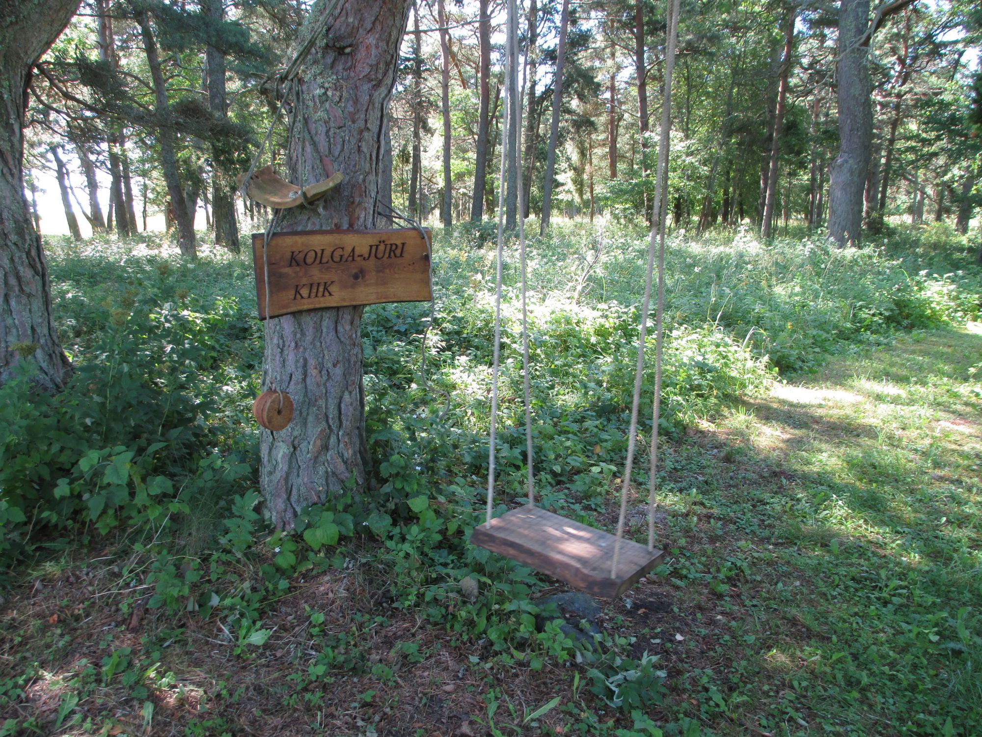 Üks õige eestlane on alati kiikumisest lugu pidanud