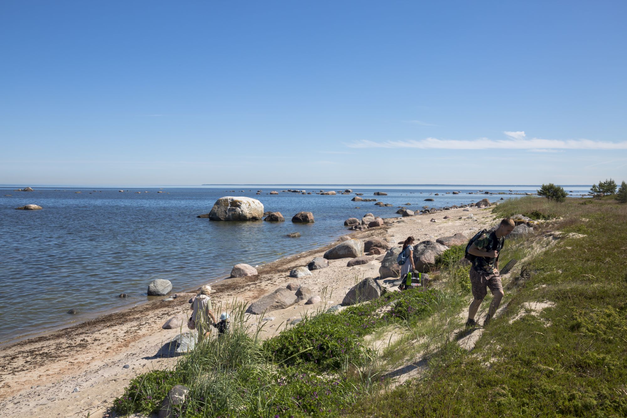 Koipsi suvilate juures asub liivane kaldajärsak.