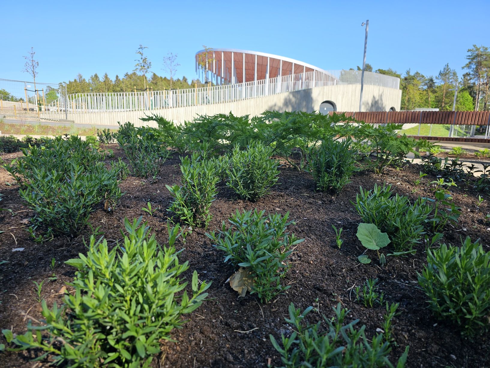 Foto: Keila lauluväljaku Meelteaed / Balti Keskkonnafoorum MTÜ