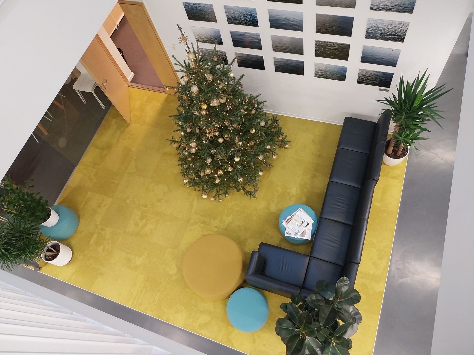 Foto: Terviseameti Tallinna kontor / Pressifoto