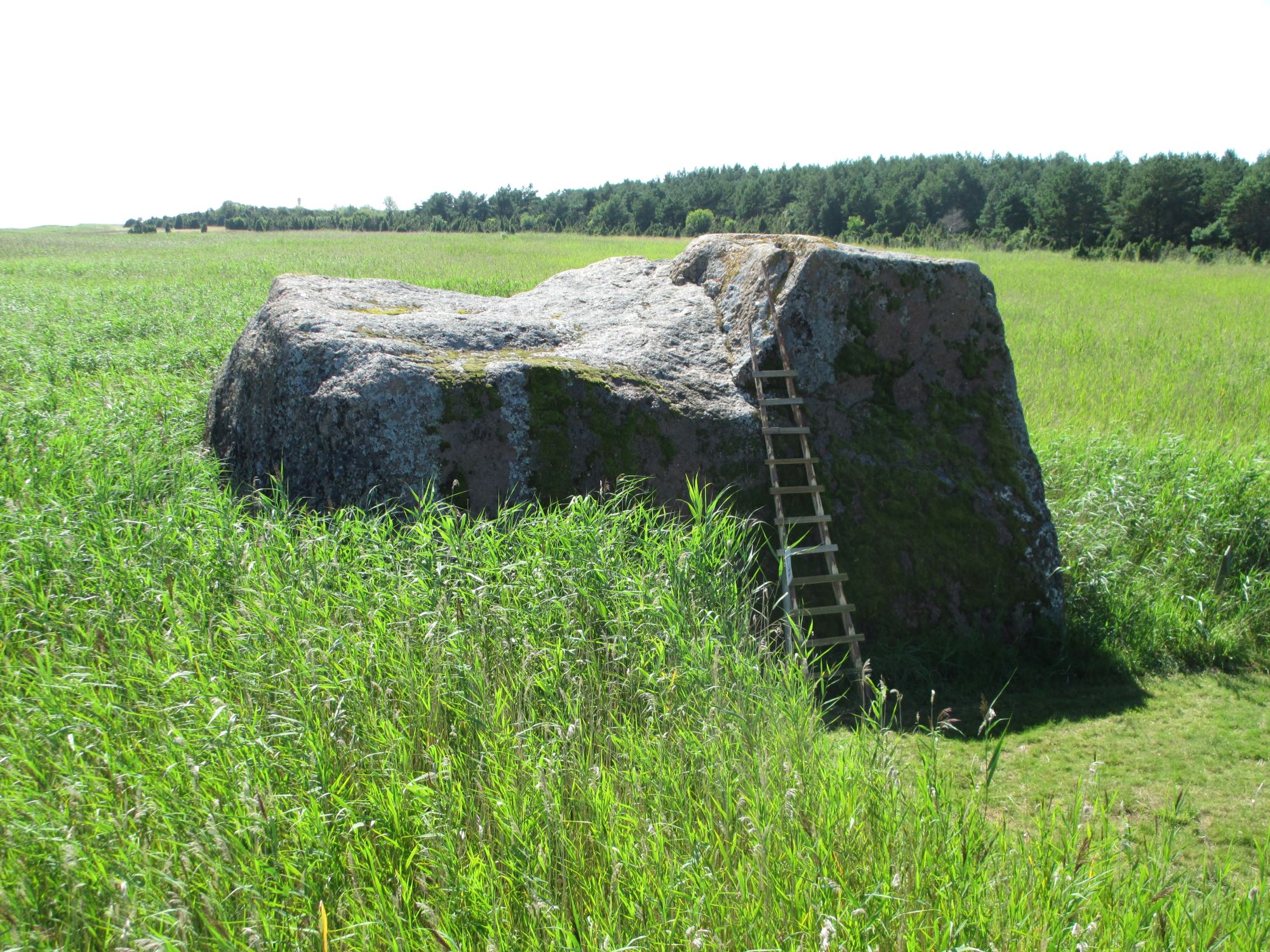 Pildil oleva Vahase I hiidrahnu kõrgus on 5,1 meetrit. Väiksem, Vahase hiidrahn II, küündib 4 meetrini.