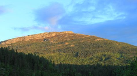 Mägi Saulandi piirkonnas. Foto: Anne Hytta