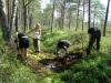 Eestimaa Looduse Fond kutsub suvistele talgutele