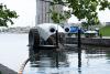 By Matthew Bellemare (Mr. Trash Wheel) [CC BY-SA 2.0 (http://creativecommons.org/licenses/by-sa/2.0)], via Wikimedia Commons
