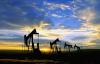 Eelteade: rahvusvaheline konverents „Effects of Oil on Wildlife“ (Nafta mõju elusloodusele)