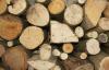 WWF hindas Euroopa Liidu liikmesriikide panust illegaalse puidu vastu võitlemises