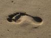 https://pixabay.com/photos/sand-beach-track-tracks-in-the-sand-1036547/