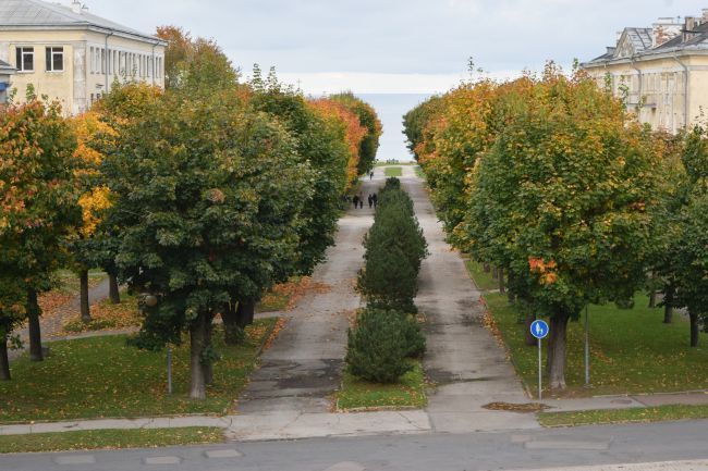 Pildistas Janek Jõgisaar, Bioneer.ee