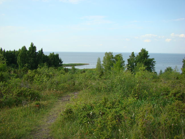 Tuulepäeva rattatuur 11-12 Tuulepäeva rattatuur 11-12