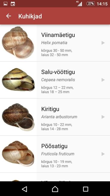 teoäpp