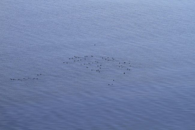Nii paistavad tõmmuvaerad lennukilt. 