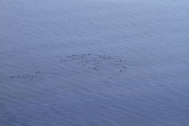 Nii paistavad tõmmuvaerad lennukilt. 