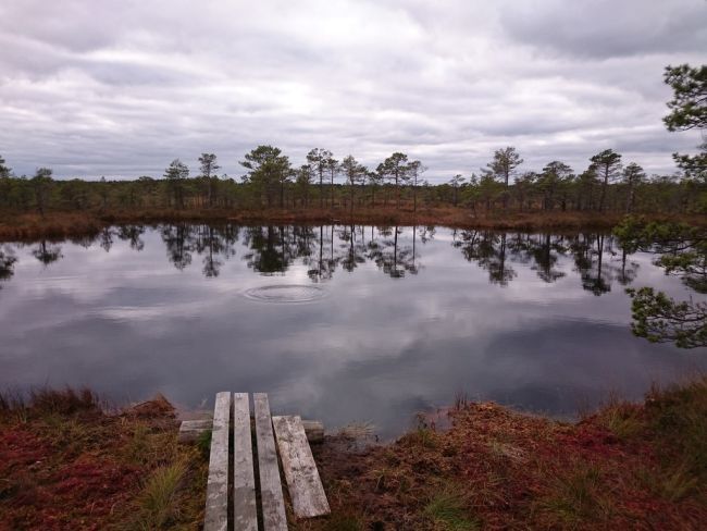 Keskkonnaguru sõnastik