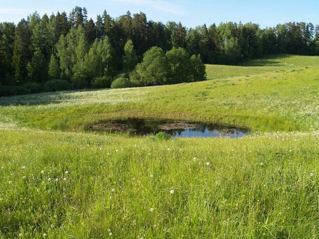 kõre tiik kõre tiik
