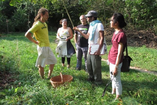 Sieben Linden. Foto Krista Noorkõiv. 