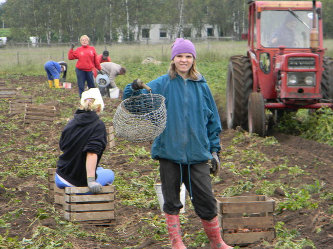 Küla elanikud põllul tööhoos Foto: Katarina Seeherr